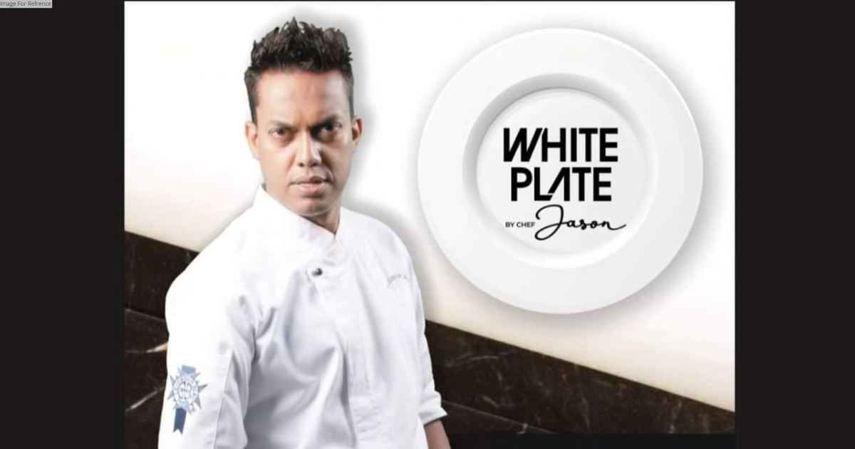 The White Plate - A Blank Canvas for Culinary Artistry